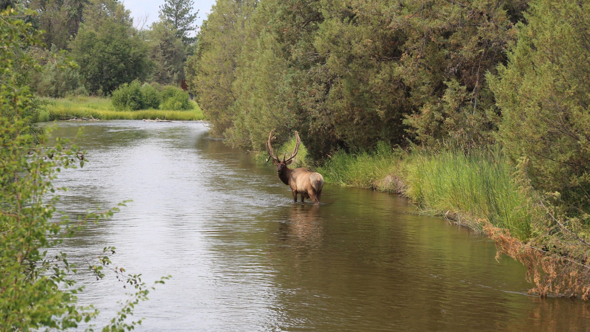 Experience Montana’s Wilderness